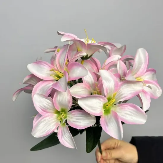 Lily