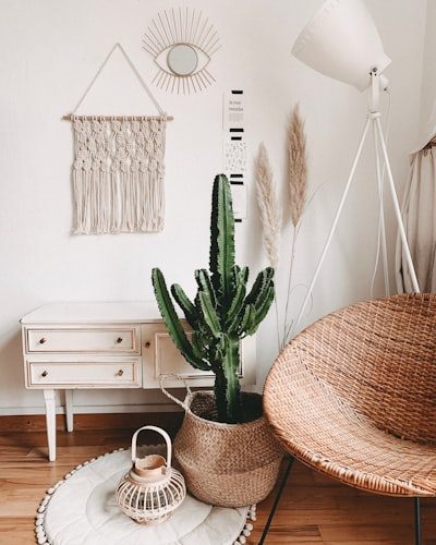 Silk vs Fresh Flowers: A Buyer's Cost Guide